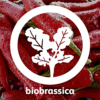 biobrassica-100x100-1.png